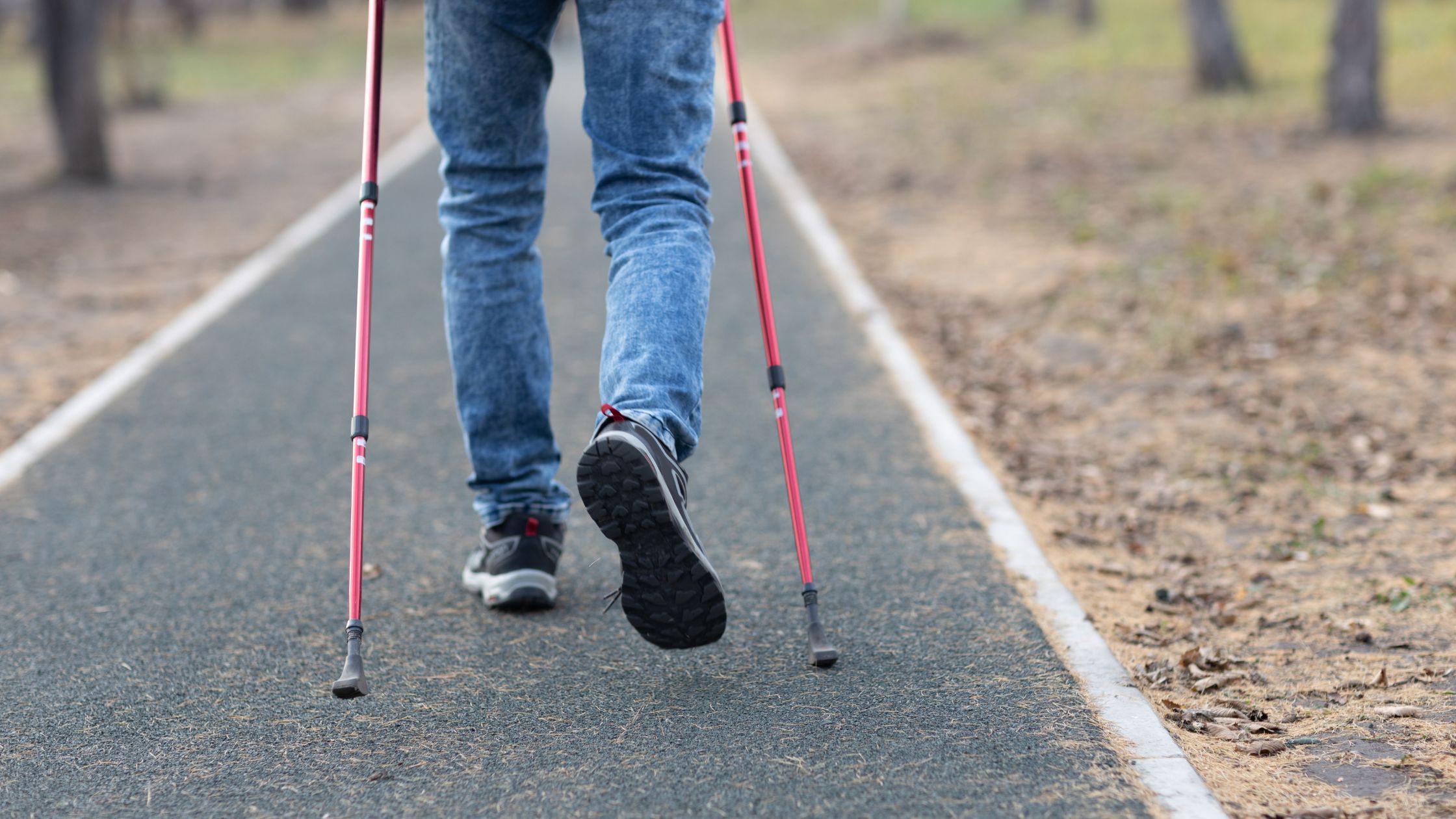 Can You Take a Cane on a Plane? TSA Rules JetSet Sidekick